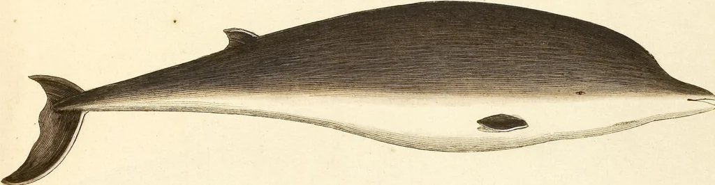 An illustration from (Tafelband 2): Theil 4 - 7 und Supplement 3 u. 4: Taf. CLXVI - CCCLXXXIV, 1792, leaf 388