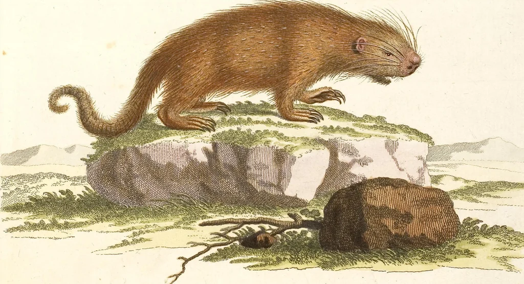 An illustration from (Tafelband 2): Theil 4 - 7 und Supplement 3 u. 4: Taf. CLXVI - CCCLXXXIV, 1792, leaf 4