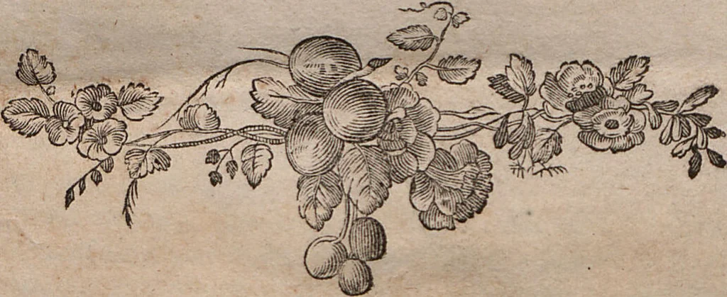 An illustration from (Erster Theil): Der Mensch. Der Affe. Der Maki. Die Fledermaus, 1775, leaf 1