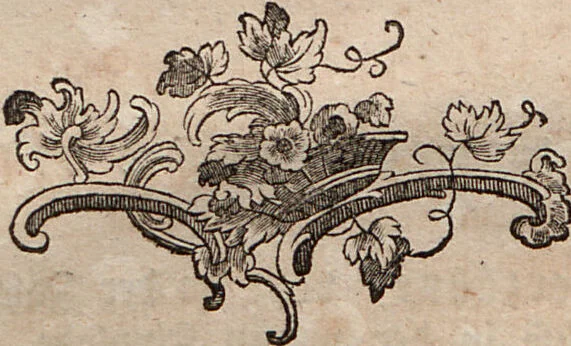 An illustration from (Erster Theil): Der Mensch. Der Affe. Der Maki. Die Fledermaus, 1775, leaf 8