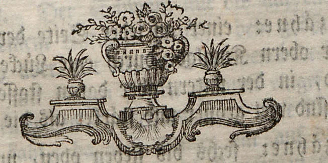 An illustration from (Dritter Theil): Der @Robbe. Der Hund. Die Kaze. Das Stinkthier. Der Otter. Der Marder. Der Bär. Das Beutelthier. Der Maulwurf. Die Spizmaus. Der Igel, 1778, leaf 251