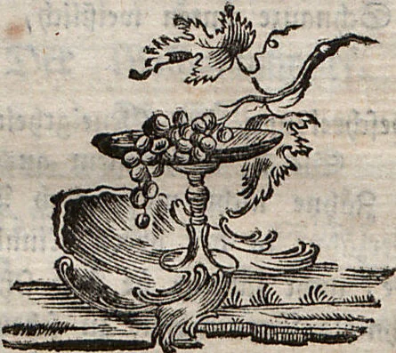 An illustration from (Dritter Theil): Der @Robbe. Der Hund. Die Kaze. Das Stinkthier. Der Otter. Der Marder. Der Bär. Das Beutelthier. Der Maulwurf. Die Spizmaus. Der Igel, 1778, leaf 284