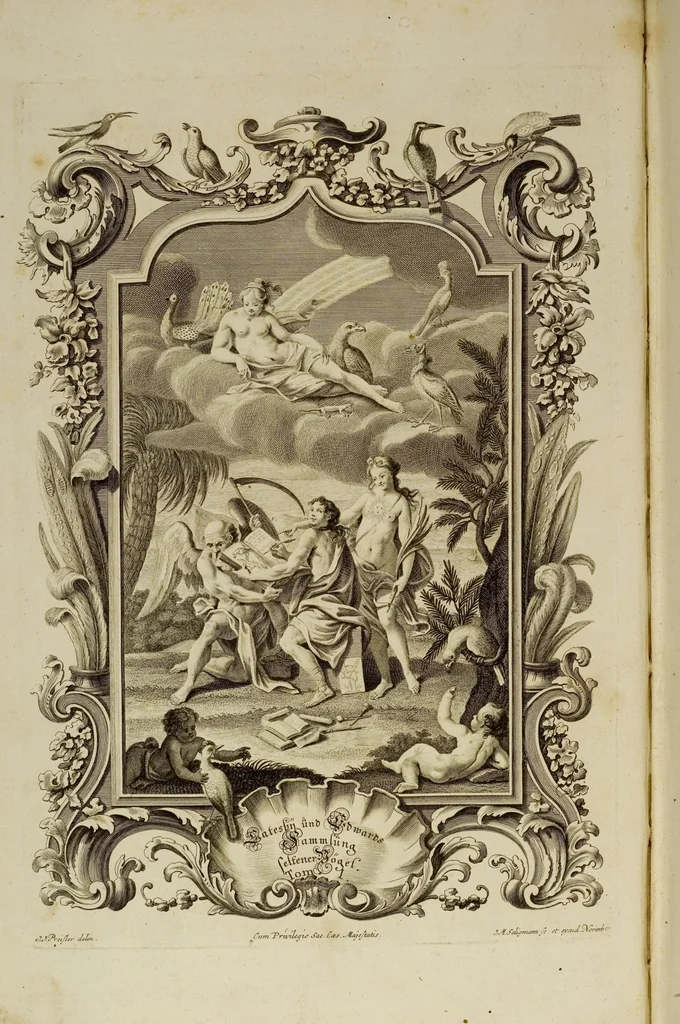 An illustration from (Band 1), 1749, leaf 1