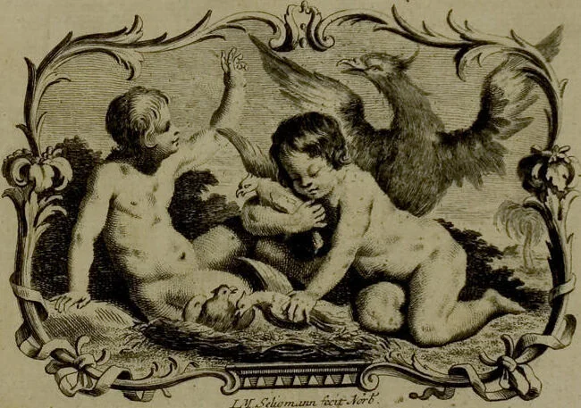 An illustration from (Band 1), 1749, leaf 2