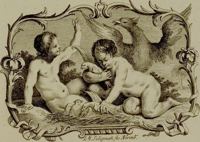 An illustration from (Band 2), 1751, leaf 1