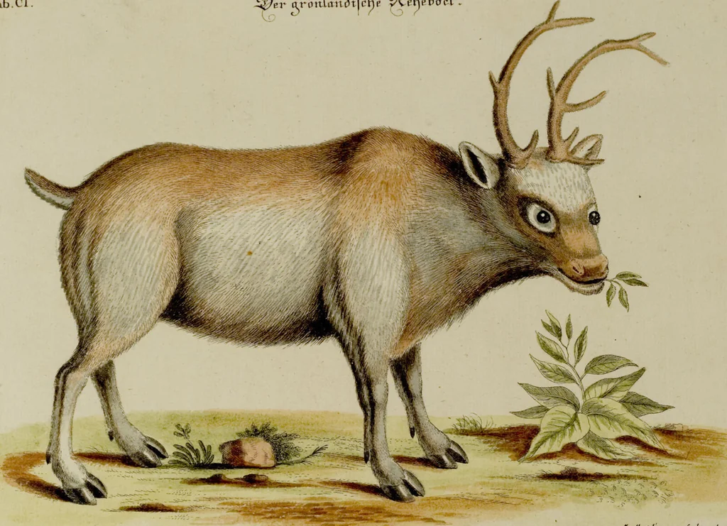 An illustration from (Band 2), 1751, leaf 102
