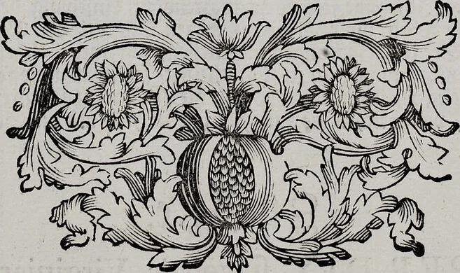 An illustration from (Band 3), 1753, leaf 64