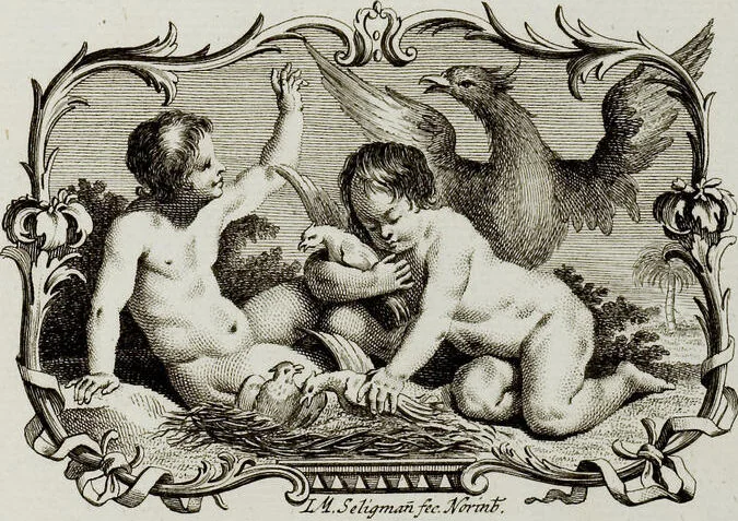 An illustration from (Band 4), 1755, leaf 1
