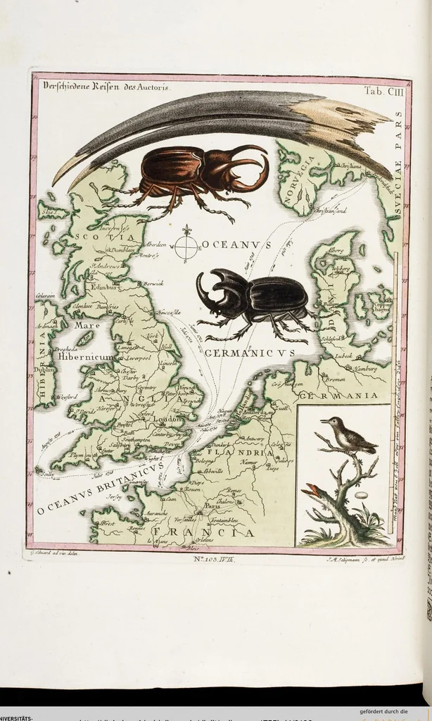 An illustration from (Band 4), 1755, leaf 106