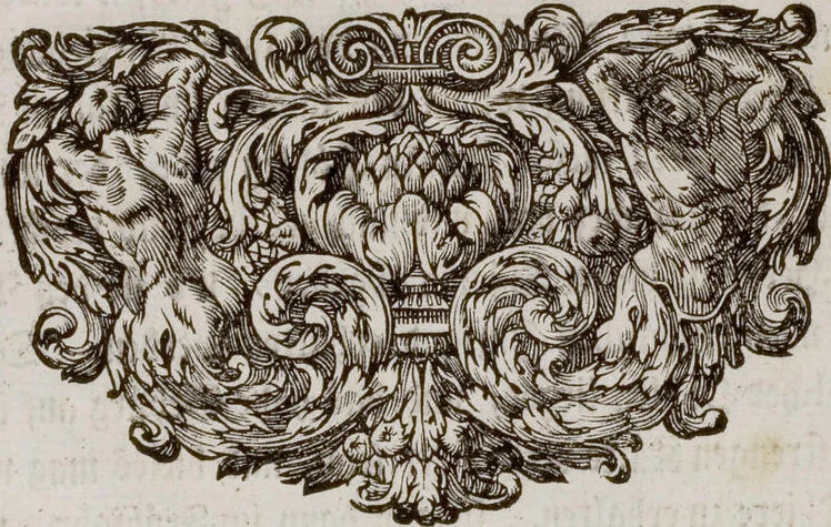 An illustration from (Band 6), 1764, leaf 113