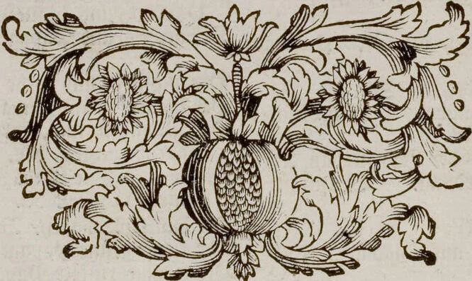 An illustration from (Band 6), 1764, leaf 115
