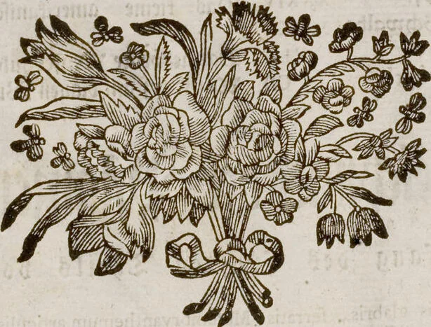 An illustration from (Band 6), 1764, leaf 123