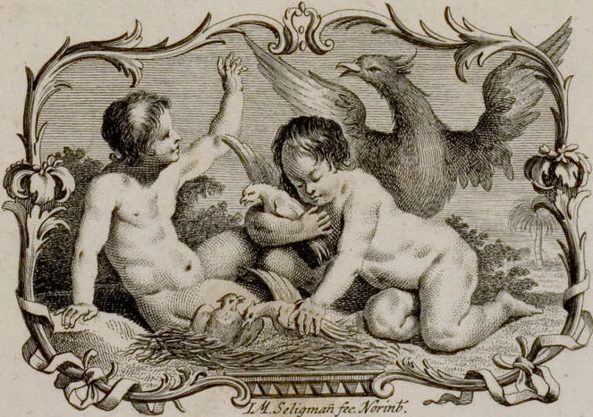 An illustration from (Band 6), 1764, leaf 2
