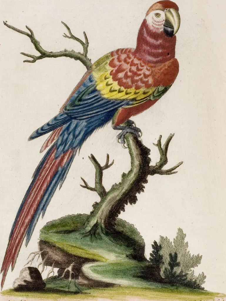 An illustration from (Band 6), 1764, leaf 3