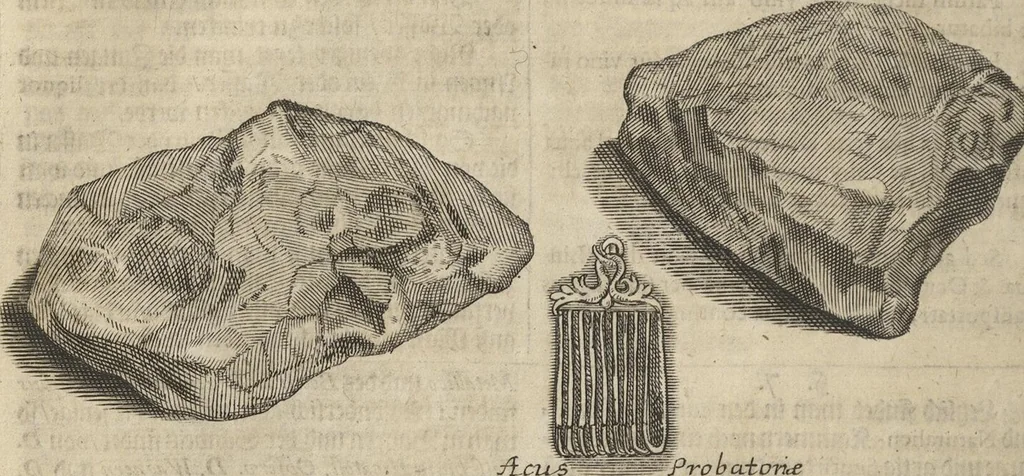 An illustration from Museum Museorum, Oder Vollständige Schau-Bühne Aller Materialien und Specereÿen: Nebst deren Natürlichen Beschreibung/ Election, Nutzen und Gebrauch/ Aus andern Material- Kunst- und Naturalien-Kammern/ Oost- und West-Indischen Reiß-Beschreibungen/ Curiosen Zeit- und Tag-Registern/ Natur- und Artzney-Kündigern/ wie auch selbst-eigenen Erfahrung ..., 1704, leaf 102