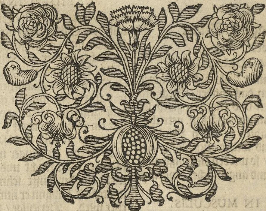 An illustration from Museum Museorum, Oder Vollständige Schau-Bühne Aller Materialien und Specereÿen: Nebst deren Natürlichen Beschreibung/ Election, Nutzen und Gebrauch/ Aus andern Material- Kunst- und Naturalien-Kammern/ Oost- und West-Indischen Reiß-Beschreibungen/ Curiosen Zeit- und Tag-Registern/ Natur- und Artzney-Kündigern/ wie auch selbst-eigenen Erfahrung ..., 1704, leaf 106