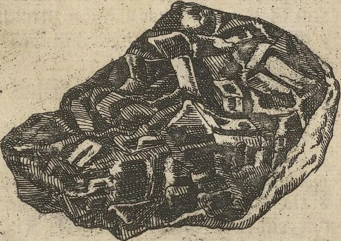 An illustration from Museum Museorum, Oder Vollständige Schau-Bühne Aller Materialien und Specereÿen: Nebst deren Natürlichen Beschreibung/ Election, Nutzen und Gebrauch/ Aus andern Material- Kunst- und Naturalien-Kammern/ Oost- und West-Indischen Reiß-Beschreibungen/ Curiosen Zeit- und Tag-Registern/ Natur- und Artzney-Kündigern/ wie auch selbst-eigenen Erfahrung ..., 1704, leaf 113