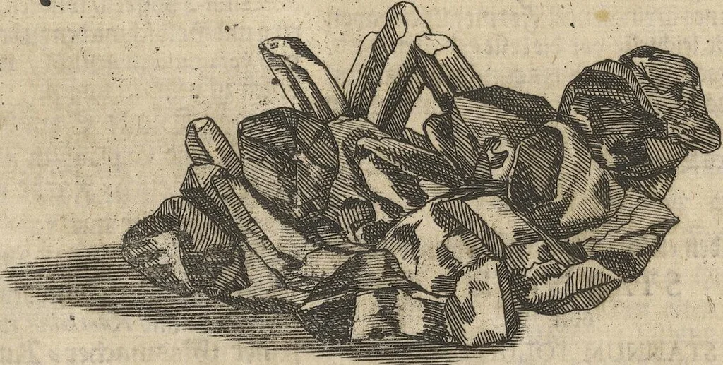 An illustration from Museum Museorum, Oder Vollständige Schau-Bühne Aller Materialien und Specereÿen: Nebst deren Natürlichen Beschreibung/ Election, Nutzen und Gebrauch/ Aus andern Material- Kunst- und Naturalien-Kammern/ Oost- und West-Indischen Reiß-Beschreibungen/ Curiosen Zeit- und Tag-Registern/ Natur- und Artzney-Kündigern/ wie auch selbst-eigenen Erfahrung ..., 1704, leaf 113
