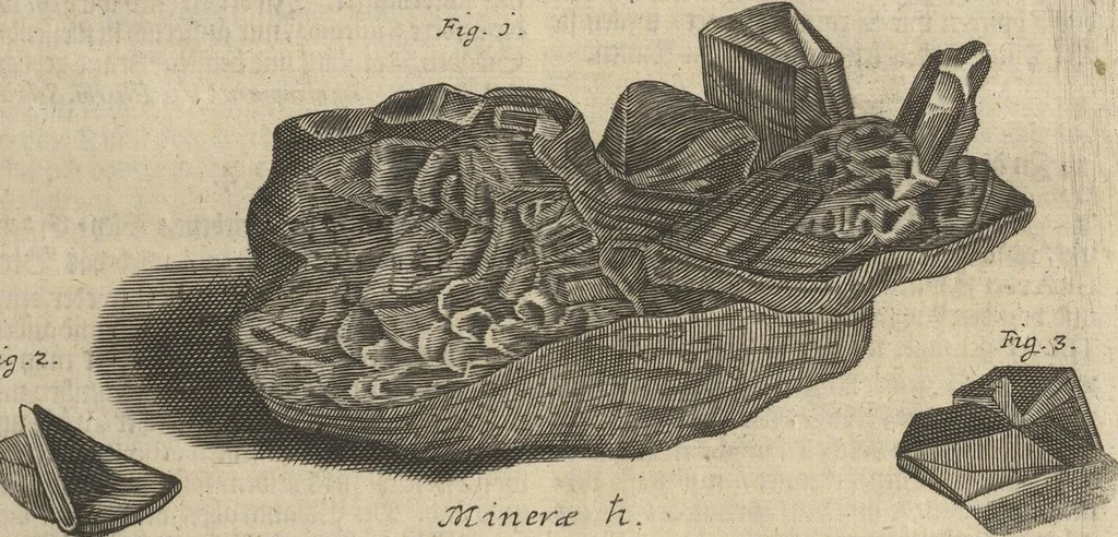 An illustration from Museum Museorum, Oder Vollständige Schau-Bühne Aller Materialien und Specereÿen: Nebst deren Natürlichen Beschreibung/ Election, Nutzen und Gebrauch/ Aus andern Material- Kunst- und Naturalien-Kammern/ Oost- und West-Indischen Reiß-Beschreibungen/ Curiosen Zeit- und Tag-Registern/ Natur- und Artzney-Kündigern/ wie auch selbst-eigenen Erfahrung ..., 1704, leaf 115