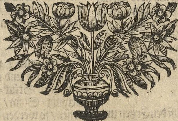 An illustration from Museum Museorum, Oder Vollständige Schau-Bühne Aller Materialien und Specereÿen: Nebst deren Natürlichen Beschreibung/ Election, Nutzen und Gebrauch/ Aus andern Material- Kunst- und Naturalien-Kammern/ Oost- und West-Indischen Reiß-Beschreibungen/ Curiosen Zeit- und Tag-Registern/ Natur- und Artzney-Kündigern/ wie auch selbst-eigenen Erfahrung ..., 1704, leaf 119