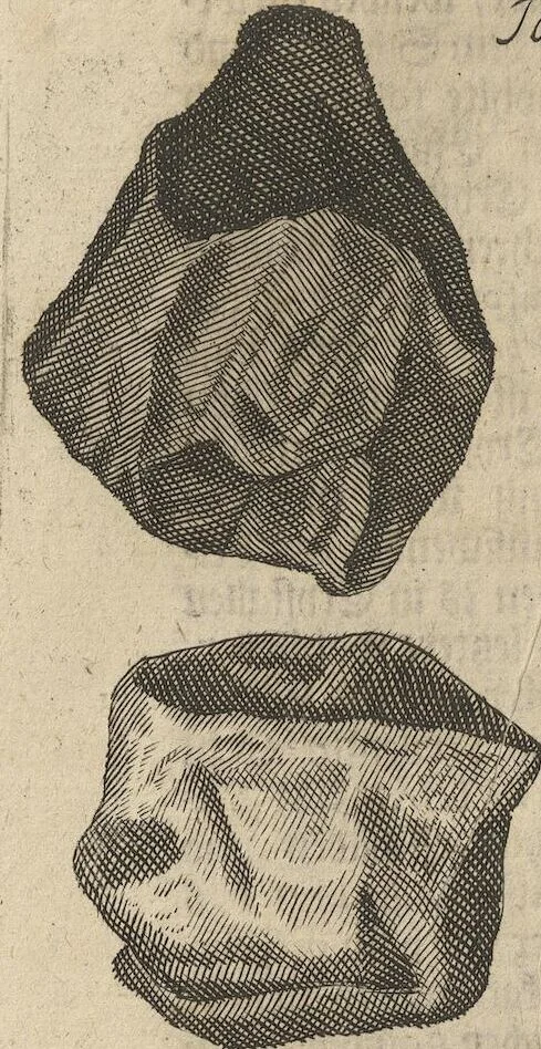 An illustration from Museum Museorum, Oder Vollständige Schau-Bühne Aller Materialien und Specereÿen: Nebst deren Natürlichen Beschreibung/ Election, Nutzen und Gebrauch/ Aus andern Material- Kunst- und Naturalien-Kammern/ Oost- und West-Indischen Reiß-Beschreibungen/ Curiosen Zeit- und Tag-Registern/ Natur- und Artzney-Kündigern/ wie auch selbst-eigenen Erfahrung ..., 1704, leaf 120