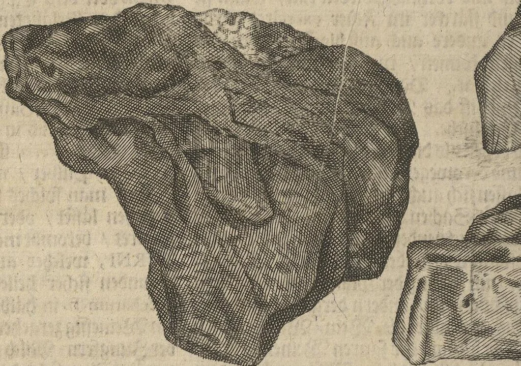 An illustration from Museum Museorum, Oder Vollständige Schau-Bühne Aller Materialien und Specereÿen: Nebst deren Natürlichen Beschreibung/ Election, Nutzen und Gebrauch/ Aus andern Material- Kunst- und Naturalien-Kammern/ Oost- und West-Indischen Reiß-Beschreibungen/ Curiosen Zeit- und Tag-Registern/ Natur- und Artzney-Kündigern/ wie auch selbst-eigenen Erfahrung ..., 1704, leaf 120