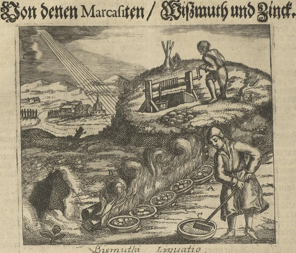 An illustration from Museum Museorum, Oder Vollständige Schau-Bühne Aller Materialien und Specereÿen: Nebst deren Natürlichen Beschreibung/ Election, Nutzen und Gebrauch/ Aus andern Material- Kunst- und Naturalien-Kammern/ Oost- und West-Indischen Reiß-Beschreibungen/ Curiosen Zeit- und Tag-Registern/ Natur- und Artzney-Kündigern/ wie auch selbst-eigenen Erfahrung ..., 1704, leaf 124