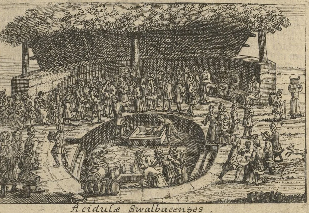 An illustration from Museum Museorum, Oder Vollständige Schau-Bühne Aller Materialien und Specereÿen: Nebst deren Natürlichen Beschreibung/ Election, Nutzen und Gebrauch/ Aus andern Material- Kunst- und Naturalien-Kammern/ Oost- und West-Indischen Reiß-Beschreibungen/ Curiosen Zeit- und Tag-Registern/ Natur- und Artzney-Kündigern/ wie auch selbst-eigenen Erfahrung ..., 1704, leaf 133