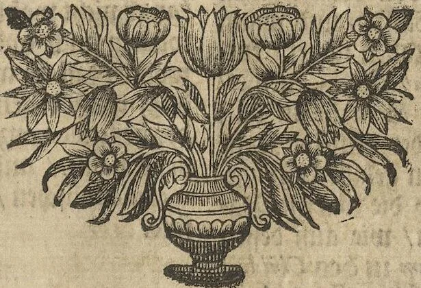 An illustration from Museum Museorum, Oder Vollständige Schau-Bühne Aller Materialien und Specereÿen: Nebst deren Natürlichen Beschreibung/ Election, Nutzen und Gebrauch/ Aus andern Material- Kunst- und Naturalien-Kammern/ Oost- und West-Indischen Reiß-Beschreibungen/ Curiosen Zeit- und Tag-Registern/ Natur- und Artzney-Kündigern/ wie auch selbst-eigenen Erfahrung ..., 1704, leaf 135