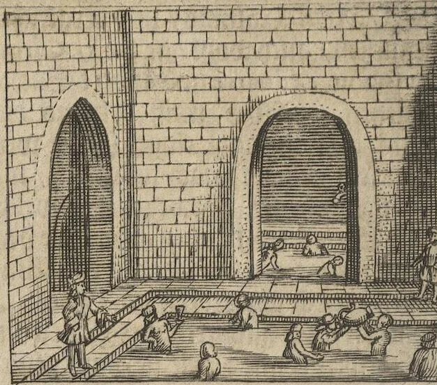 An illustration from Museum Museorum, Oder Vollständige Schau-Bühne Aller Materialien und Specereÿen: Nebst deren Natürlichen Beschreibung/ Election, Nutzen und Gebrauch/ Aus andern Material- Kunst- und Naturalien-Kammern/ Oost- und West-Indischen Reiß-Beschreibungen/ Curiosen Zeit- und Tag-Registern/ Natur- und Artzney-Kündigern/ wie auch selbst-eigenen Erfahrung ..., 1704, leaf 136