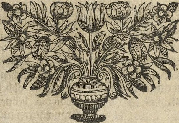An illustration from Museum Museorum, Oder Vollständige Schau-Bühne Aller Materialien und Specereÿen: Nebst deren Natürlichen Beschreibung/ Election, Nutzen und Gebrauch/ Aus andern Material- Kunst- und Naturalien-Kammern/ Oost- und West-Indischen Reiß-Beschreibungen/ Curiosen Zeit- und Tag-Registern/ Natur- und Artzney-Kündigern/ wie auch selbst-eigenen Erfahrung ..., 1704, leaf 142