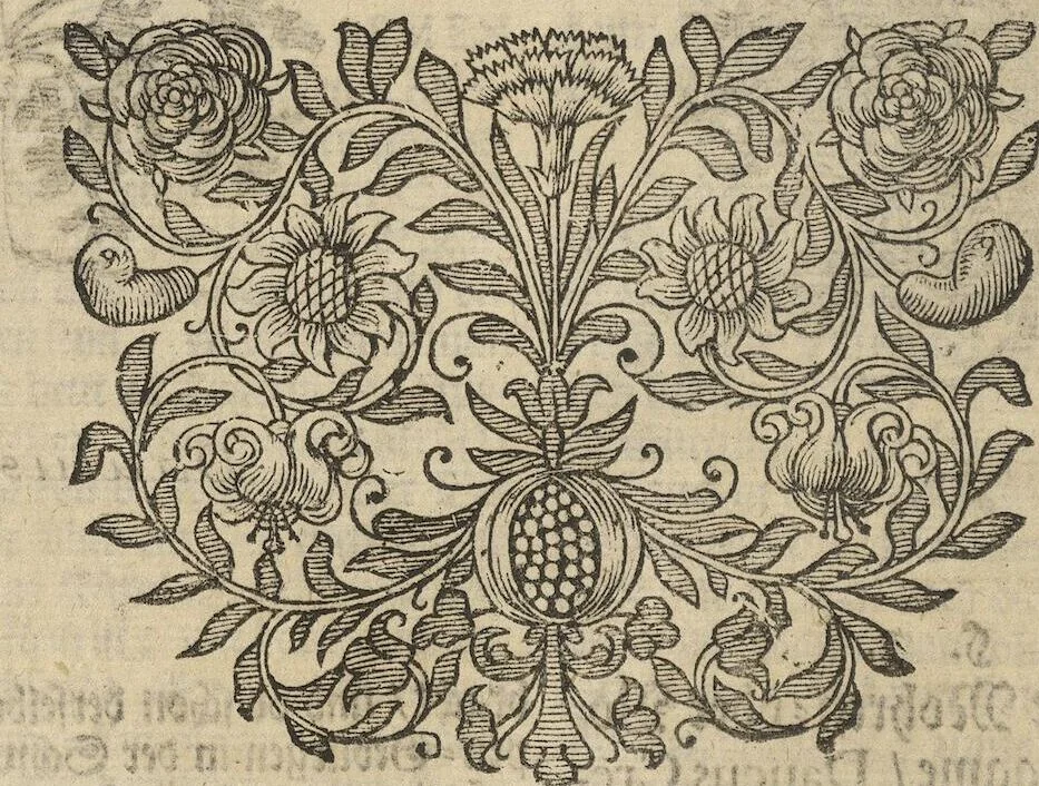 An illustration from Museum Museorum, Oder Vollständige Schau-Bühne Aller Materialien und Specereÿen: Nebst deren Natürlichen Beschreibung/ Election, Nutzen und Gebrauch/ Aus andern Material- Kunst- und Naturalien-Kammern/ Oost- und West-Indischen Reiß-Beschreibungen/ Curiosen Zeit- und Tag-Registern/ Natur- und Artzney-Kündigern/ wie auch selbst-eigenen Erfahrung ..., 1704, leaf 148