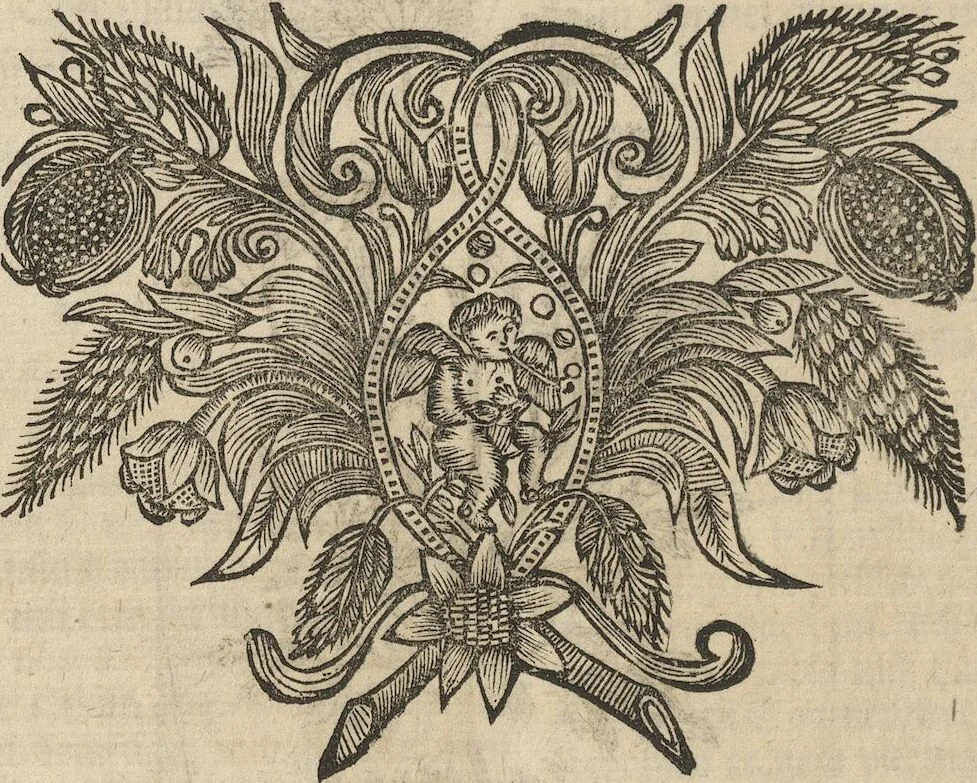 An illustration from Museum Museorum, Oder Vollständige Schau-Bühne Aller Materialien und Specereÿen: Nebst deren Natürlichen Beschreibung/ Election, Nutzen und Gebrauch/ Aus andern Material- Kunst- und Naturalien-Kammern/ Oost- und West-Indischen Reiß-Beschreibungen/ Curiosen Zeit- und Tag-Registern/ Natur- und Artzney-Kündigern/ wie auch selbst-eigenen Erfahrung ..., 1704, leaf 154