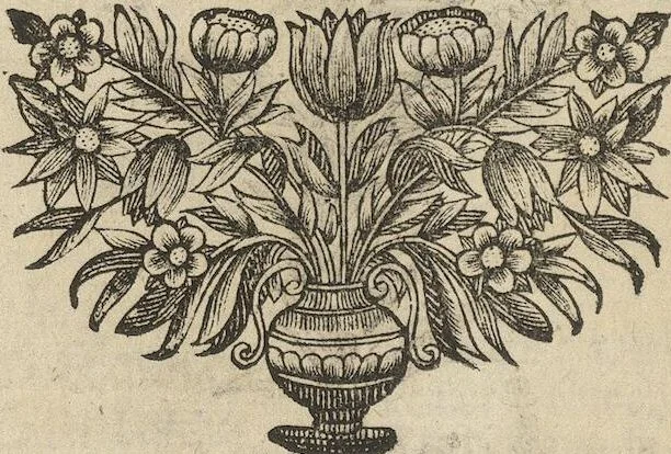 An illustration from Museum Museorum, Oder Vollständige Schau-Bühne Aller Materialien und Specereÿen: Nebst deren Natürlichen Beschreibung/ Election, Nutzen und Gebrauch/ Aus andern Material- Kunst- und Naturalien-Kammern/ Oost- und West-Indischen Reiß-Beschreibungen/ Curiosen Zeit- und Tag-Registern/ Natur- und Artzney-Kündigern/ wie auch selbst-eigenen Erfahrung ..., 1704, leaf 166