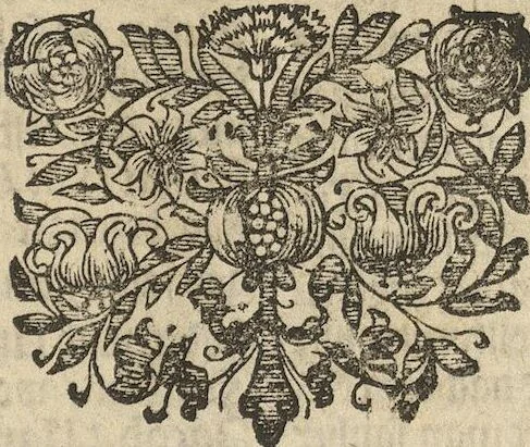 An illustration from Museum Museorum, Oder Vollständige Schau-Bühne Aller Materialien und Specereÿen: Nebst deren Natürlichen Beschreibung/ Election, Nutzen und Gebrauch/ Aus andern Material- Kunst- und Naturalien-Kammern/ Oost- und West-Indischen Reiß-Beschreibungen/ Curiosen Zeit- und Tag-Registern/ Natur- und Artzney-Kündigern/ wie auch selbst-eigenen Erfahrung ..., 1704, leaf 177