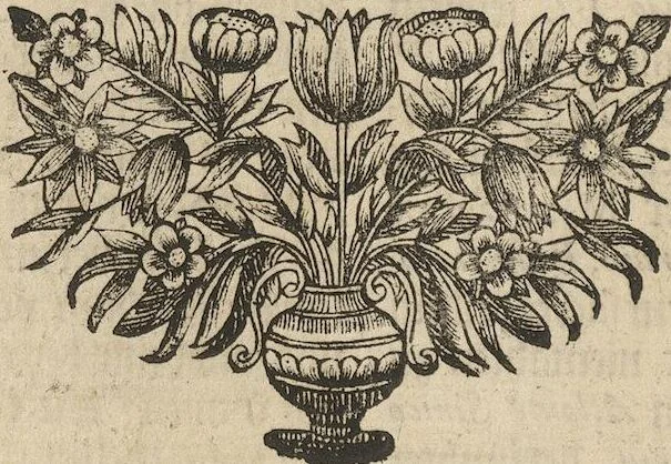 An illustration from Museum Museorum, Oder Vollständige Schau-Bühne Aller Materialien und Specereÿen: Nebst deren Natürlichen Beschreibung/ Election, Nutzen und Gebrauch/ Aus andern Material- Kunst- und Naturalien-Kammern/ Oost- und West-Indischen Reiß-Beschreibungen/ Curiosen Zeit- und Tag-Registern/ Natur- und Artzney-Kündigern/ wie auch selbst-eigenen Erfahrung ..., 1704, leaf 200