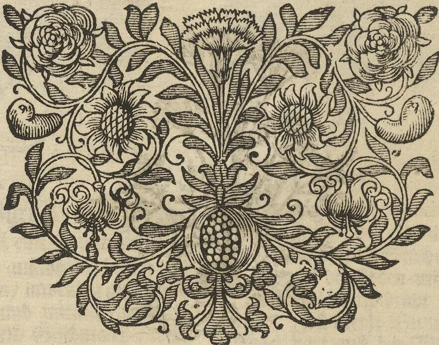 An illustration from Museum Museorum, Oder Vollständige Schau-Bühne Aller Materialien und Specereÿen: Nebst deren Natürlichen Beschreibung/ Election, Nutzen und Gebrauch/ Aus andern Material- Kunst- und Naturalien-Kammern/ Oost- und West-Indischen Reiß-Beschreibungen/ Curiosen Zeit- und Tag-Registern/ Natur- und Artzney-Kündigern/ wie auch selbst-eigenen Erfahrung ..., 1704, leaf 210