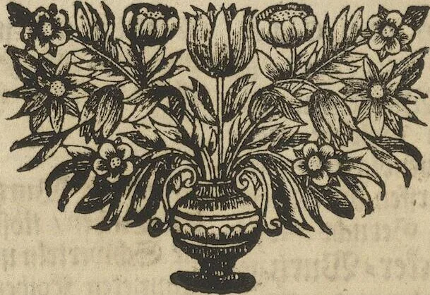 An illustration from Museum Museorum, Oder Vollständige Schau-Bühne Aller Materialien und Specereÿen: Nebst deren Natürlichen Beschreibung/ Election, Nutzen und Gebrauch/ Aus andern Material- Kunst- und Naturalien-Kammern/ Oost- und West-Indischen Reiß-Beschreibungen/ Curiosen Zeit- und Tag-Registern/ Natur- und Artzney-Kündigern/ wie auch selbst-eigenen Erfahrung ..., 1704, leaf 218