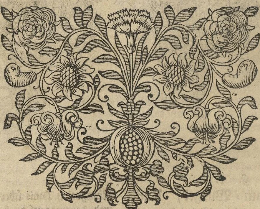 An illustration from Museum Museorum, Oder Vollständige Schau-Bühne Aller Materialien und Specereÿen: Nebst deren Natürlichen Beschreibung/ Election, Nutzen und Gebrauch/ Aus andern Material- Kunst- und Naturalien-Kammern/ Oost- und West-Indischen Reiß-Beschreibungen/ Curiosen Zeit- und Tag-Registern/ Natur- und Artzney-Kündigern/ wie auch selbst-eigenen Erfahrung ..., 1704, leaf 228