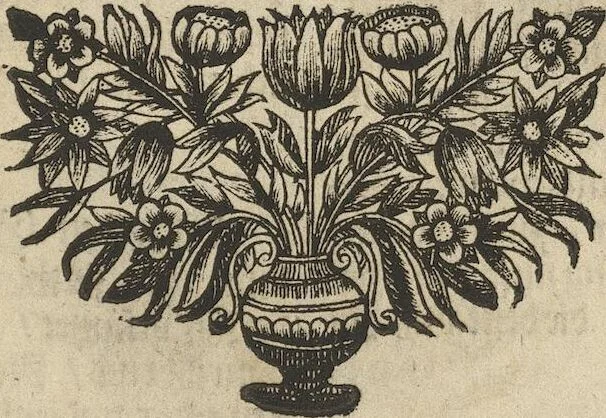 An illustration from Museum Museorum, Oder Vollständige Schau-Bühne Aller Materialien und Specereÿen: Nebst deren Natürlichen Beschreibung/ Election, Nutzen und Gebrauch/ Aus andern Material- Kunst- und Naturalien-Kammern/ Oost- und West-Indischen Reiß-Beschreibungen/ Curiosen Zeit- und Tag-Registern/ Natur- und Artzney-Kündigern/ wie auch selbst-eigenen Erfahrung ..., 1704, leaf 231