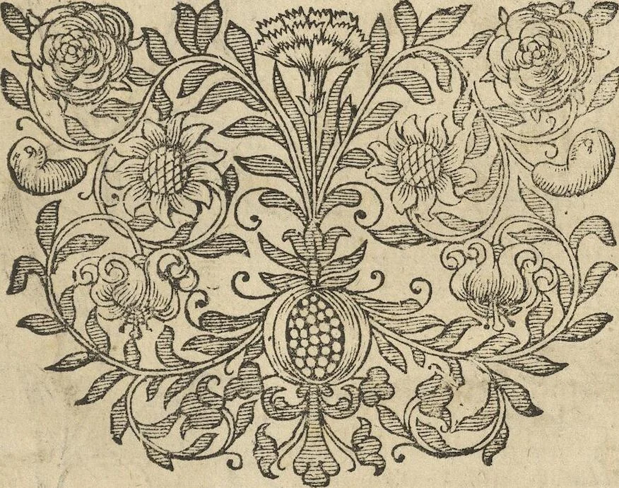 An illustration from Museum Museorum, Oder Vollständige Schau-Bühne Aller Materialien und Specereÿen: Nebst deren Natürlichen Beschreibung/ Election, Nutzen und Gebrauch/ Aus andern Material- Kunst- und Naturalien-Kammern/ Oost- und West-Indischen Reiß-Beschreibungen/ Curiosen Zeit- und Tag-Registern/ Natur- und Artzney-Kündigern/ wie auch selbst-eigenen Erfahrung ..., 1704, leaf 241