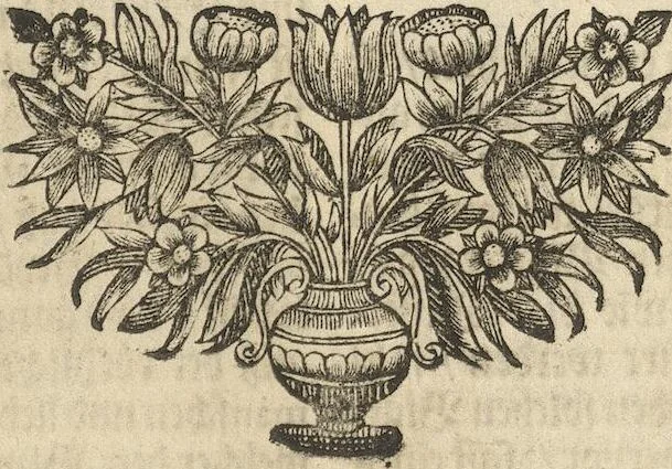An illustration from Museum Museorum, Oder Vollständige Schau-Bühne Aller Materialien und Specereÿen: Nebst deren Natürlichen Beschreibung/ Election, Nutzen und Gebrauch/ Aus andern Material- Kunst- und Naturalien-Kammern/ Oost- und West-Indischen Reiß-Beschreibungen/ Curiosen Zeit- und Tag-Registern/ Natur- und Artzney-Kündigern/ wie auch selbst-eigenen Erfahrung ..., 1704, leaf 273