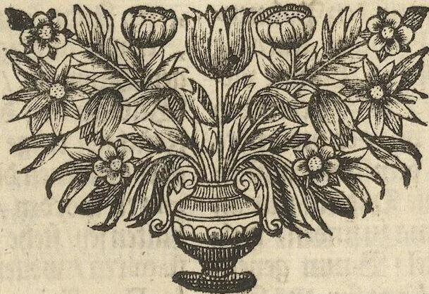 An illustration from Museum Museorum, Oder Vollständige Schau-Bühne Aller Materialien und Specereÿen: Nebst deren Natürlichen Beschreibung/ Election, Nutzen und Gebrauch/ Aus andern Material- Kunst- und Naturalien-Kammern/ Oost- und West-Indischen Reiß-Beschreibungen/ Curiosen Zeit- und Tag-Registern/ Natur- und Artzney-Kündigern/ wie auch selbst-eigenen Erfahrung ..., 1704, leaf 347