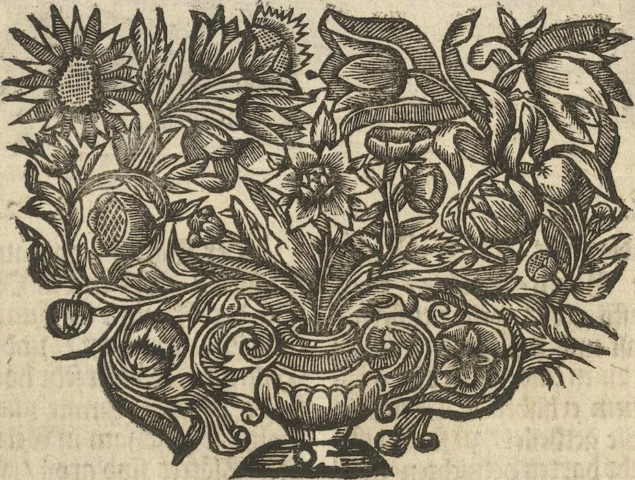 An illustration from Museum Museorum, Oder Vollständige Schau-Bühne Aller Materialien und Specereÿen: Nebst deren Natürlichen Beschreibung/ Election, Nutzen und Gebrauch/ Aus andern Material- Kunst- und Naturalien-Kammern/ Oost- und West-Indischen Reiß-Beschreibungen/ Curiosen Zeit- und Tag-Registern/ Natur- und Artzney-Kündigern/ wie auch selbst-eigenen Erfahrung ..., 1704, leaf 359