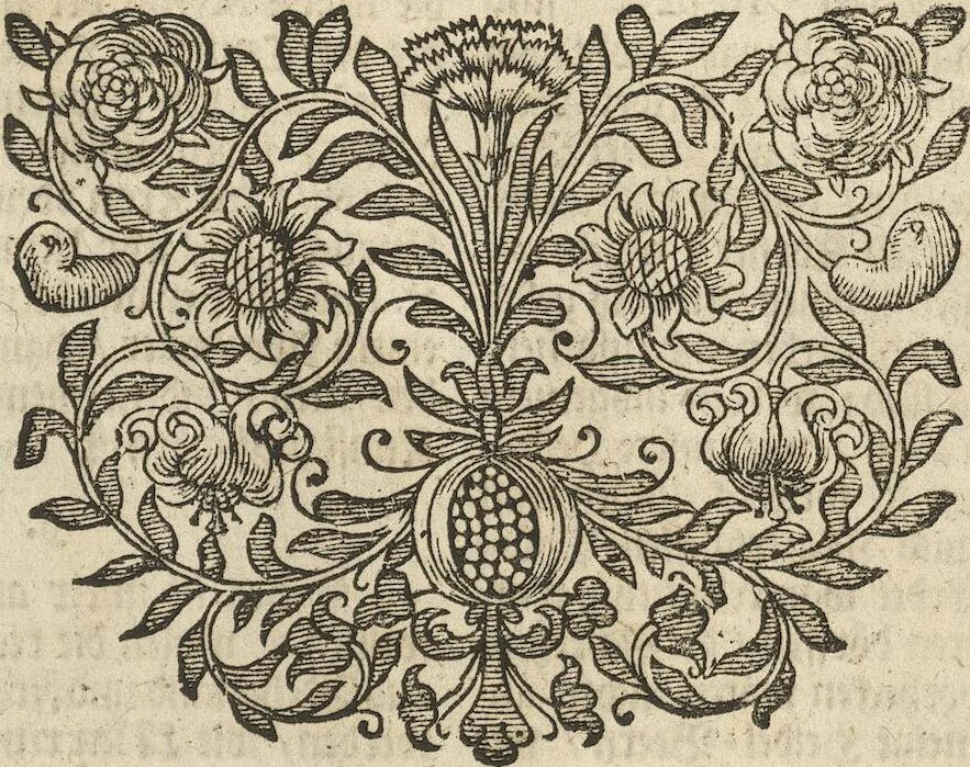 An illustration from Museum Museorum, Oder Vollständige Schau-Bühne Aller Materialien und Specereÿen: Nebst deren Natürlichen Beschreibung/ Election, Nutzen und Gebrauch/ Aus andern Material- Kunst- und Naturalien-Kammern/ Oost- und West-Indischen Reiß-Beschreibungen/ Curiosen Zeit- und Tag-Registern/ Natur- und Artzney-Kündigern/ wie auch selbst-eigenen Erfahrung ..., 1704, leaf 383