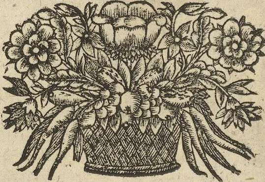An illustration from Museum Museorum, Oder Vollständige Schau-Bühne Aller Materialien und Specereÿen: Nebst deren Natürlichen Beschreibung/ Election, Nutzen und Gebrauch/ Aus andern Material- Kunst- und Naturalien-Kammern/ Oost- und West-Indischen Reiß-Beschreibungen/ Curiosen Zeit- und Tag-Registern/ Natur- und Artzney-Kündigern/ wie auch selbst-eigenen Erfahrung ..., 1704, leaf 386