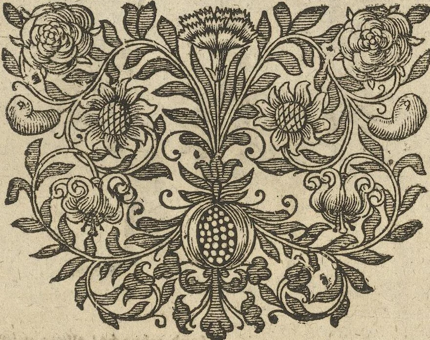 An illustration from Museum Museorum, Oder Vollständige Schau-Bühne Aller Materialien und Specereÿen: Nebst deren Natürlichen Beschreibung/ Election, Nutzen und Gebrauch/ Aus andern Material- Kunst- und Naturalien-Kammern/ Oost- und West-Indischen Reiß-Beschreibungen/ Curiosen Zeit- und Tag-Registern/ Natur- und Artzney-Kündigern/ wie auch selbst-eigenen Erfahrung ..., 1704, leaf 391
