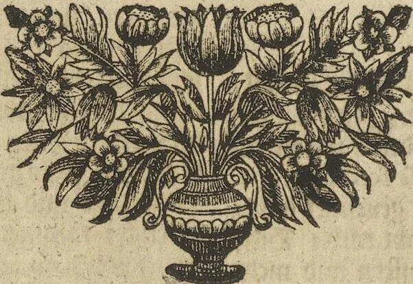 An illustration from Museum Museorum, Oder Vollständige Schau-Bühne Aller Materialien und Specereÿen: Nebst deren Natürlichen Beschreibung/ Election, Nutzen und Gebrauch/ Aus andern Material- Kunst- und Naturalien-Kammern/ Oost- und West-Indischen Reiß-Beschreibungen/ Curiosen Zeit- und Tag-Registern/ Natur- und Artzney-Kündigern/ wie auch selbst-eigenen Erfahrung ..., 1704, leaf 394