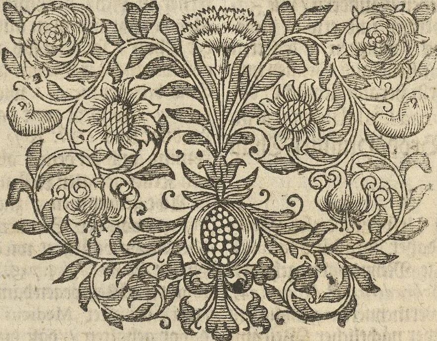 An illustration from Museum Museorum, Oder Vollständige Schau-Bühne Aller Materialien und Specereÿen: Nebst deren Natürlichen Beschreibung/ Election, Nutzen und Gebrauch/ Aus andern Material- Kunst- und Naturalien-Kammern/ Oost- und West-Indischen Reiß-Beschreibungen/ Curiosen Zeit- und Tag-Registern/ Natur- und Artzney-Kündigern/ wie auch selbst-eigenen Erfahrung ..., 1704, leaf 413