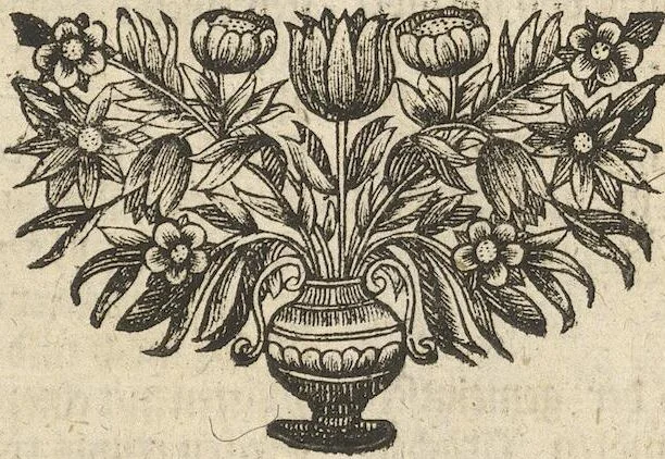 An illustration from Museum Museorum, Oder Vollständige Schau-Bühne Aller Materialien und Specereÿen: Nebst deren Natürlichen Beschreibung/ Election, Nutzen und Gebrauch/ Aus andern Material- Kunst- und Naturalien-Kammern/ Oost- und West-Indischen Reiß-Beschreibungen/ Curiosen Zeit- und Tag-Registern/ Natur- und Artzney-Kündigern/ wie auch selbst-eigenen Erfahrung ..., 1704, leaf 421